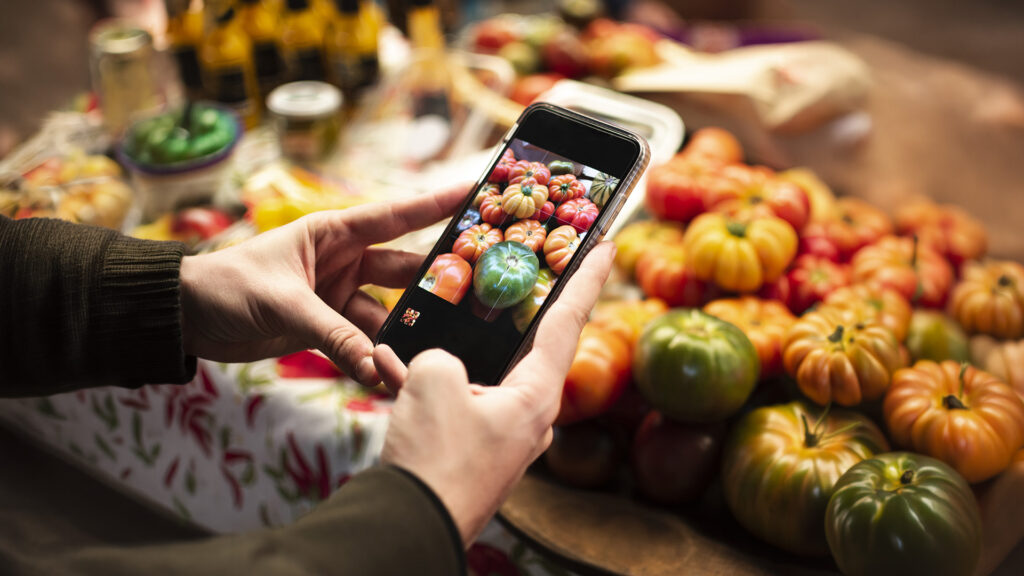 Avoid exaggerations about products when collaborating with FMCG influencers in the GCC